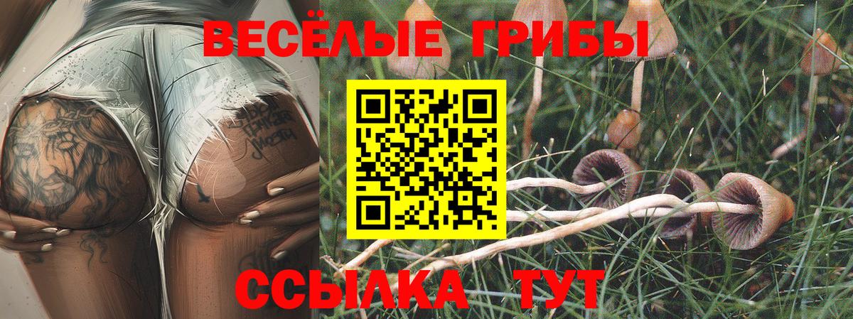 Галлюциногенные грибы ЛСД Лениногорск